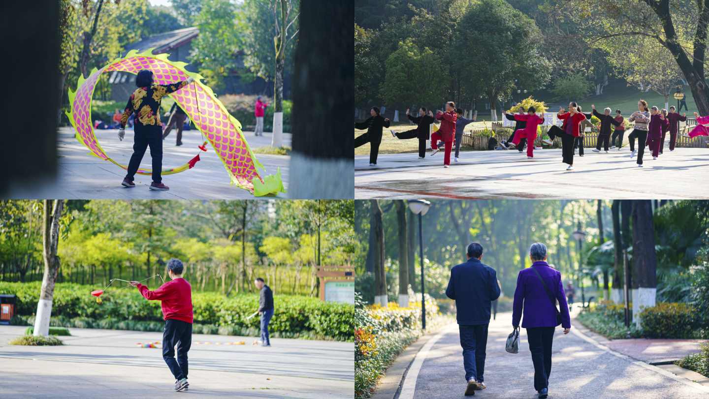 公园运动健身晨练跑步太极散步老年生活养老