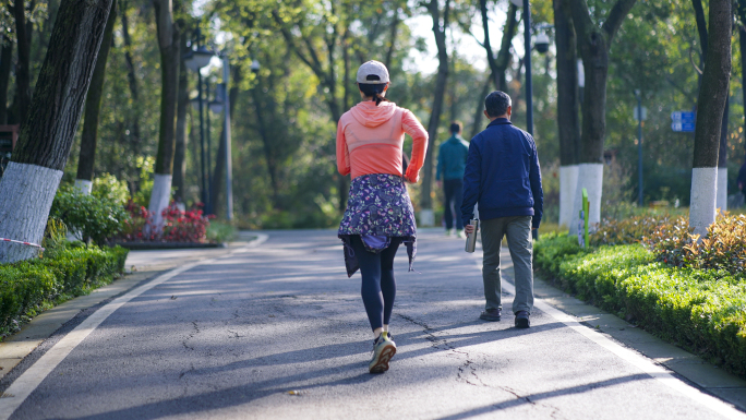 公园运动健身晨练跑步太极散步老年生活养老