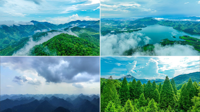 【实拍】雨后山谷云雾 空气清新 原始森林