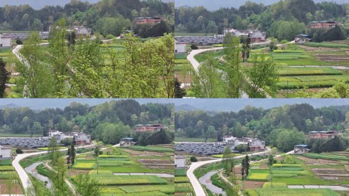 汉中 南郑 油菜花 航拍 旅游