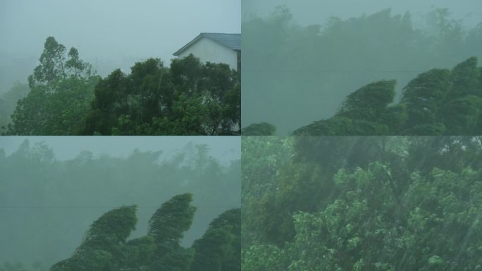 实拍雨景风雨交加强阵雨