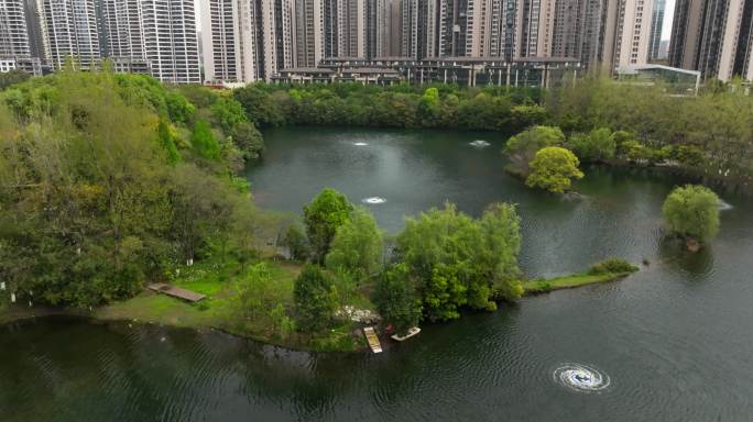 春天成都东湖美丽风景白云倒映水中公园城市
