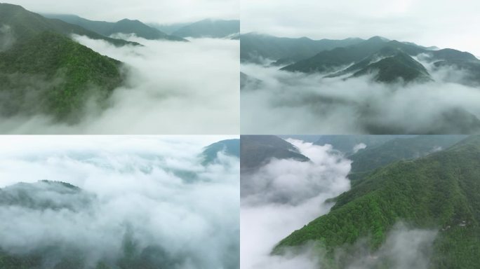 4k森林 云海 大自然 穿云 雾气 航拍