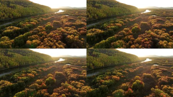 内蒙古根河湿地自然风光