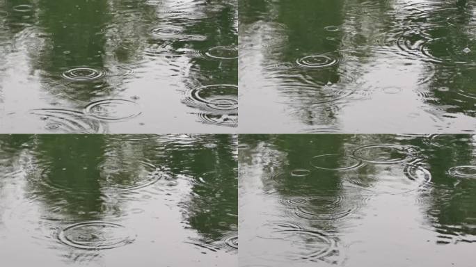 雨中水面泛圆波
