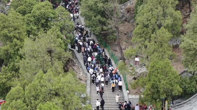 泰山景区游客人流