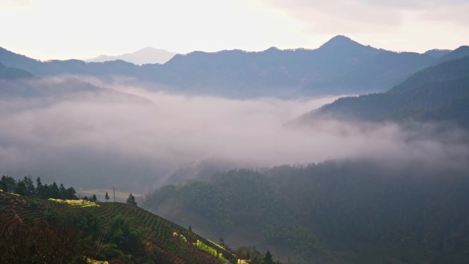 云海 皖南风光 云雾缭绕 山水乡村 乡村