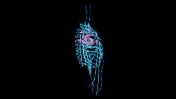 支气管血管 胸腔胸部肋骨血管骨头气管9