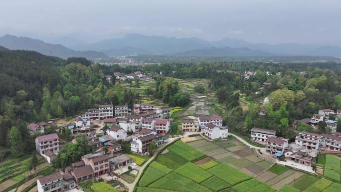 汉中 南郑 油菜花 航拍 旅游