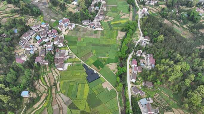 汉中 南郑 油菜花 航拍 旅游