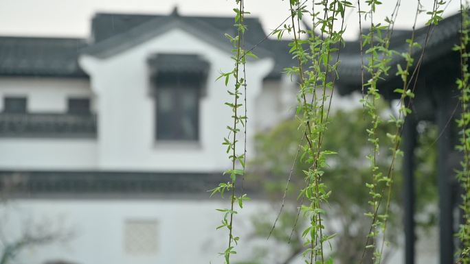 4K高清烟雨江南的庭院