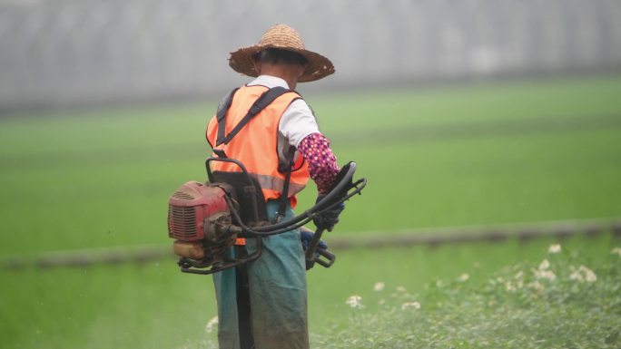 环卫工人使用除草机修剪草地