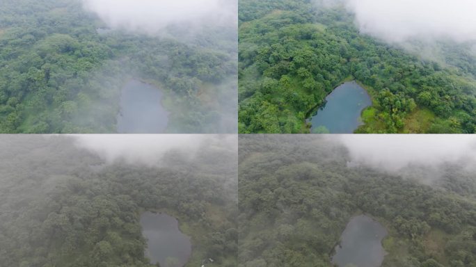 航拍4K清晨自然森林河流湖泊春天雾气