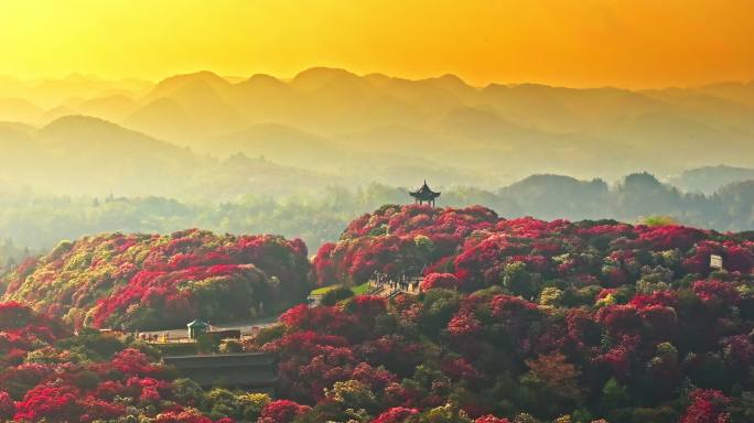 贵州毕节百里杜鹃景区航拍