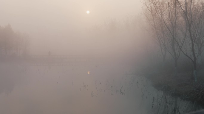 冬季清晨大雾日出垂钓阳光