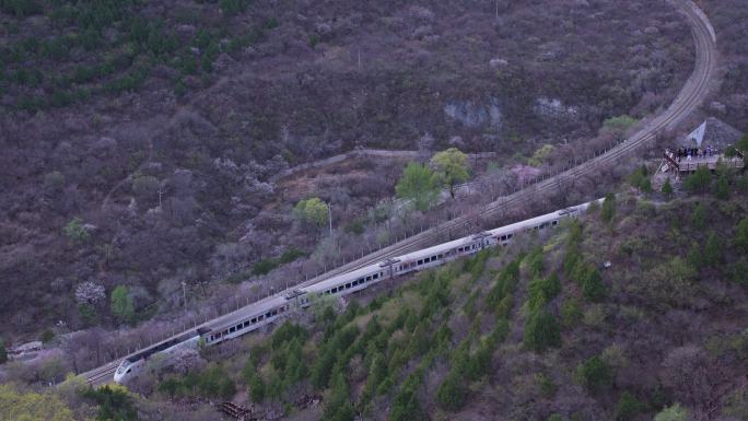 居庸关长城花海列车