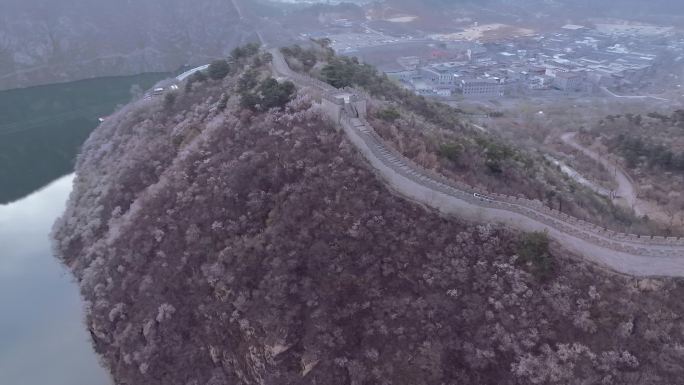 航拍春天北京黄花城水长城山花烂漫