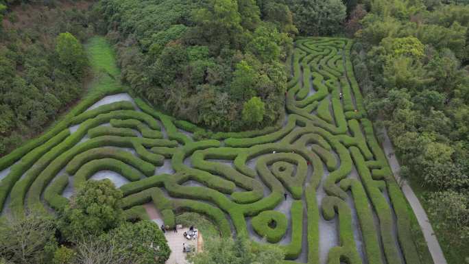 东莞大屏障森林公园的植物迷宫