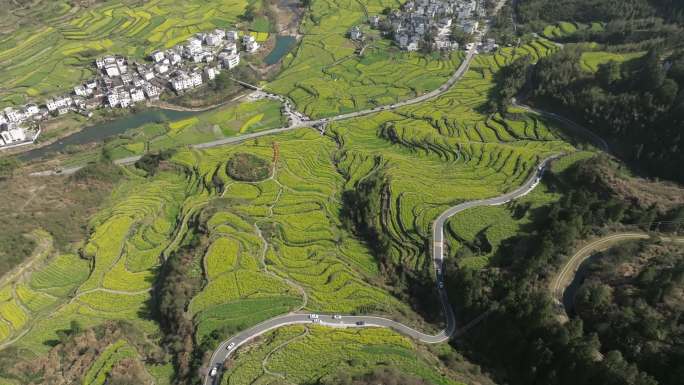 江西婺源江岭油菜花（未做任何调整）