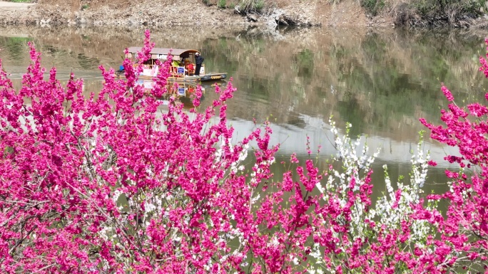 雄村桃花坝游船