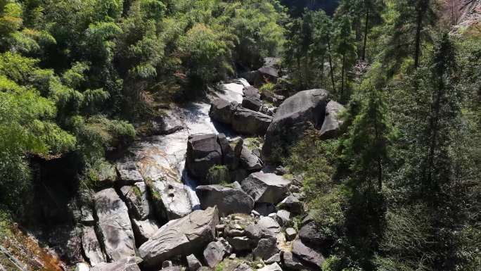 双林玛瑙峡谷 江源景区  白茶基地 茶园