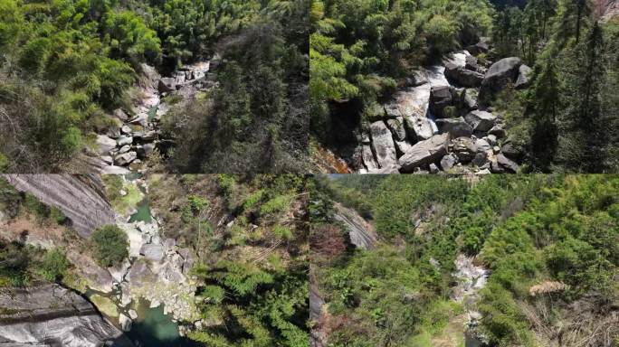 双林玛瑙峡谷 江源景区  白茶基地 茶园