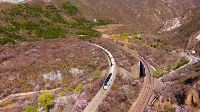 居庸关长城花海列车