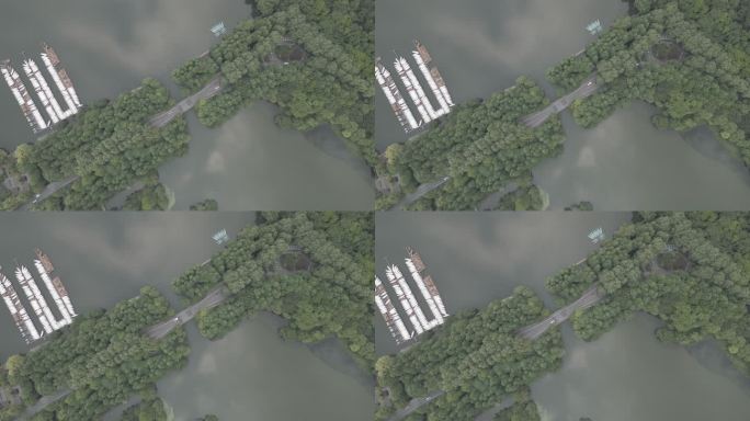 俯拍杭州西湖杨公堤春天风光