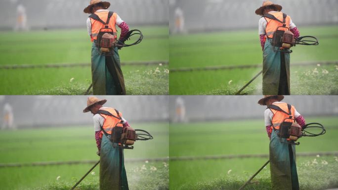 环卫工人使用除草机修剪草地