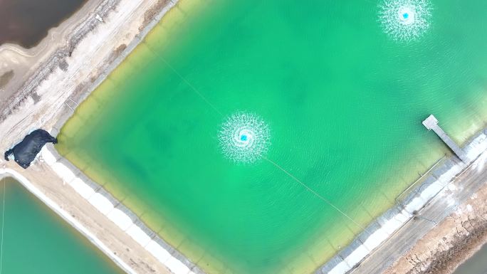 人工养殖鱼池虾池打氧机航拍宣传片