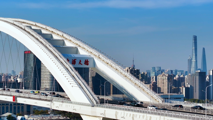 上海市卢浦大桥黄浦区浦东新区过江通道