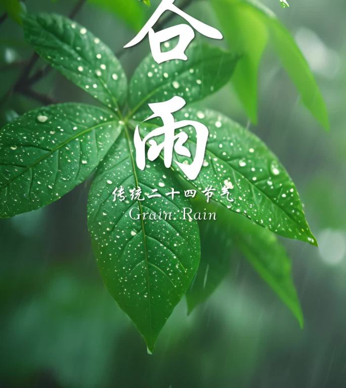 谷雨节气雨水绿色唯美下雨天