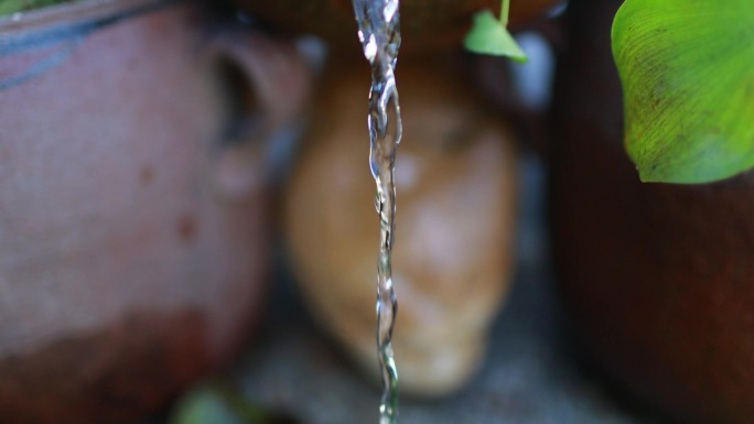 水生植物复古循环水