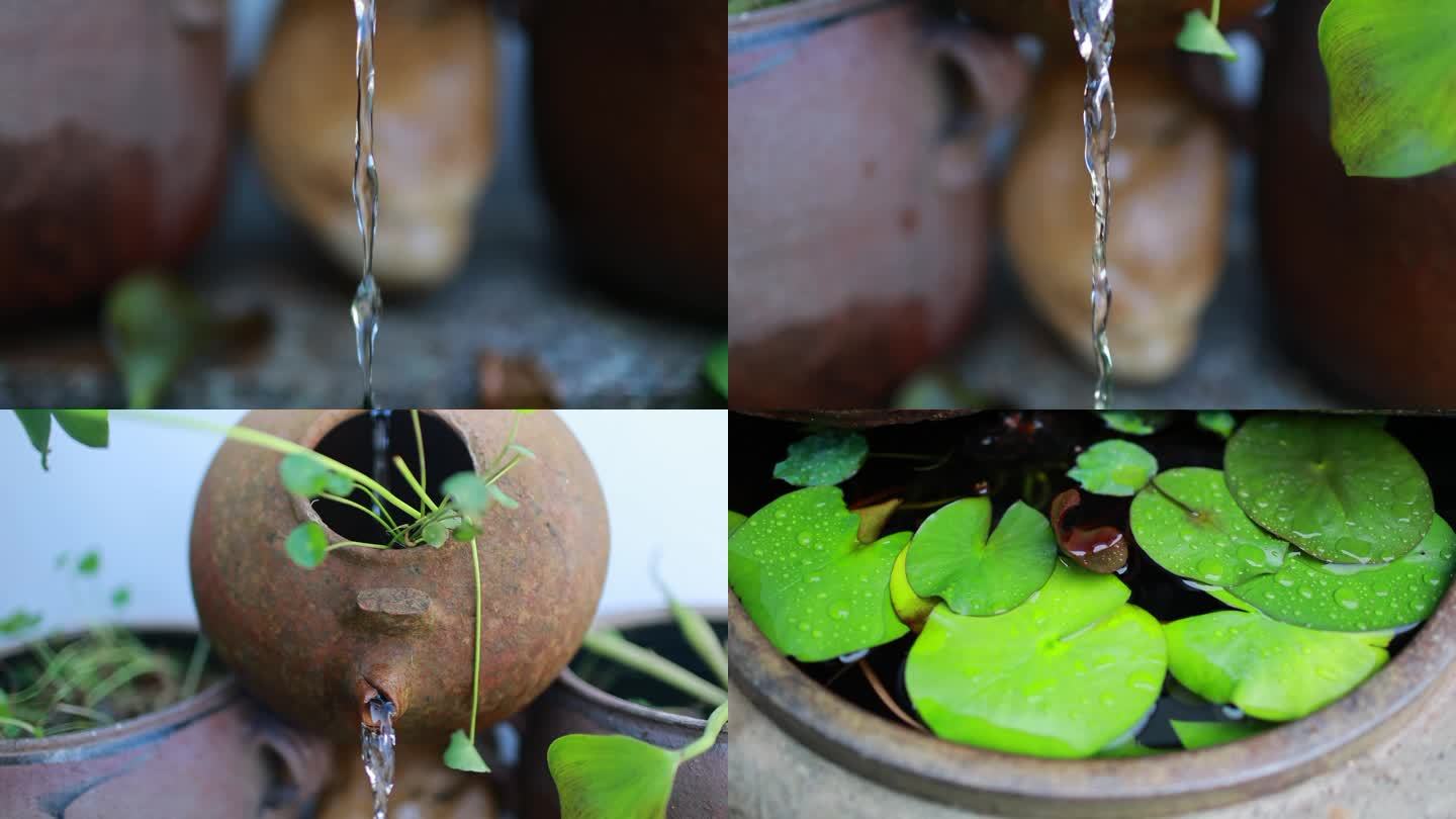 水生植物复古循环水