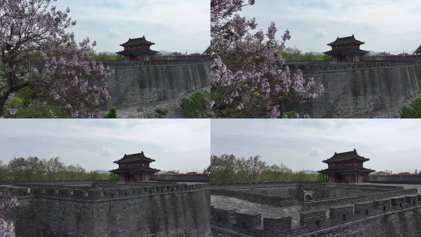 襄阳春天紫色泡桐花绽放开花城市自然风光