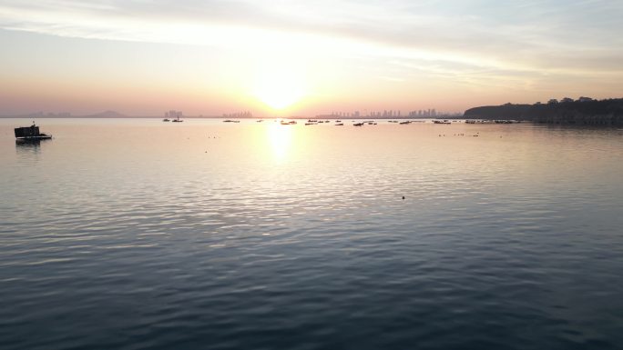 冬季 海滩 天鹅 生态 夕阳