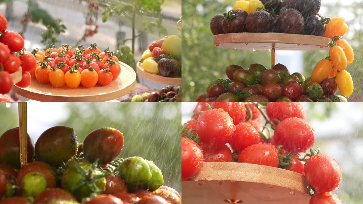 番茄创意拍摄 探针镜头 彩色番茄