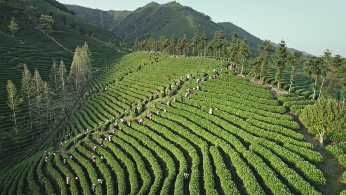 茶山日出