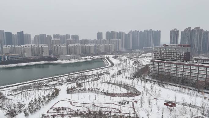 【原创4K】下雪 雪景 滑雪 玩耍 大雪