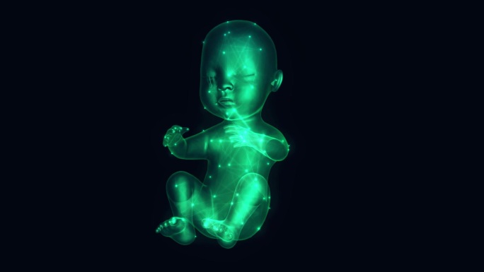 婴儿 科技  胎儿 孕期 医学线框幼儿