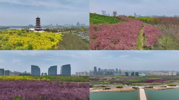 滹沱河花海