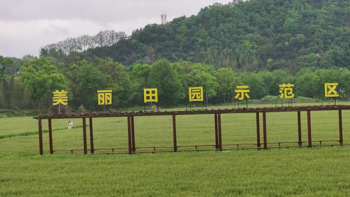 温州永嘉楠溪江稻田麦田航拍