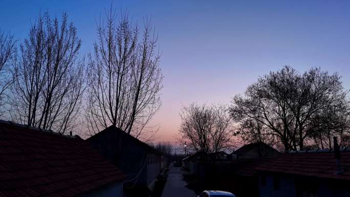 4K 乡村 夕阳  落日 农村平房 树梢