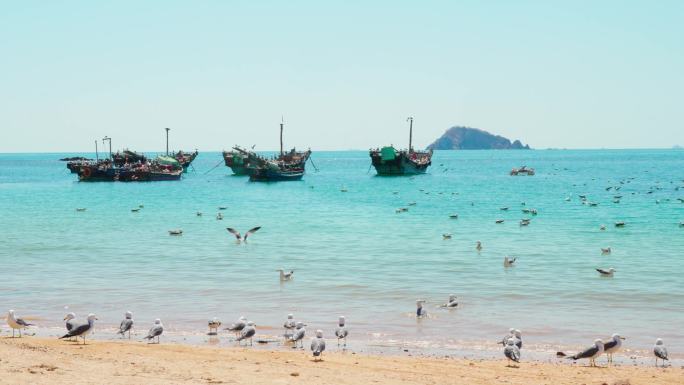 4k-渔船 海鸥 海边 海景