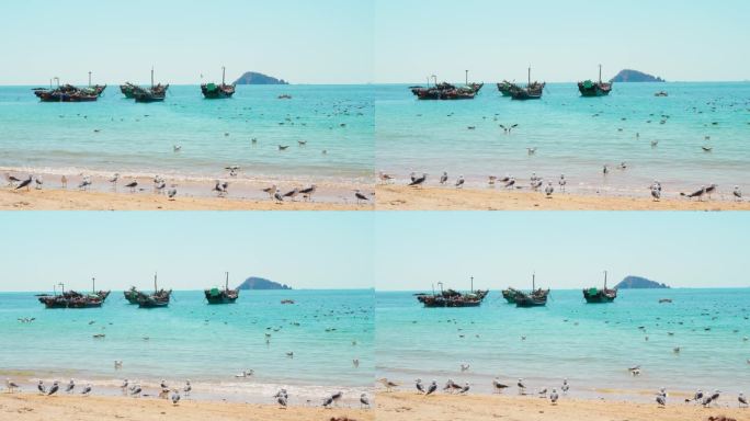 4k-渔船 海鸥 海边 海景