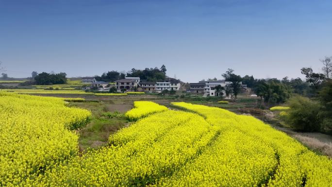 新农村 乡村振兴 美丽乡村 绿水青山