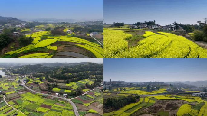 新农村 乡村振兴 美丽乡村 绿水青山