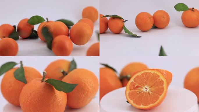 黔茅柑 柑橘 沉浸拍摄
