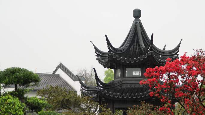 园林春雨  春分谷雨  唯美空镜