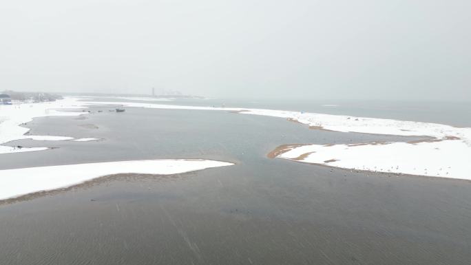 冬季 海滩 海鸟 生态 雪景